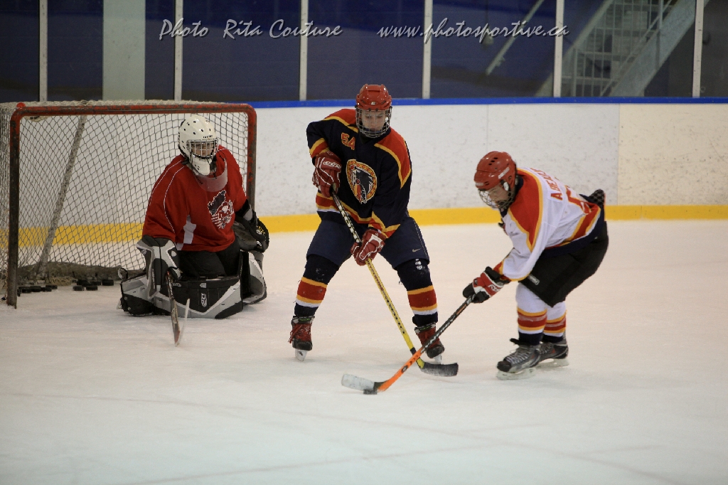 C5D_646675.jpg