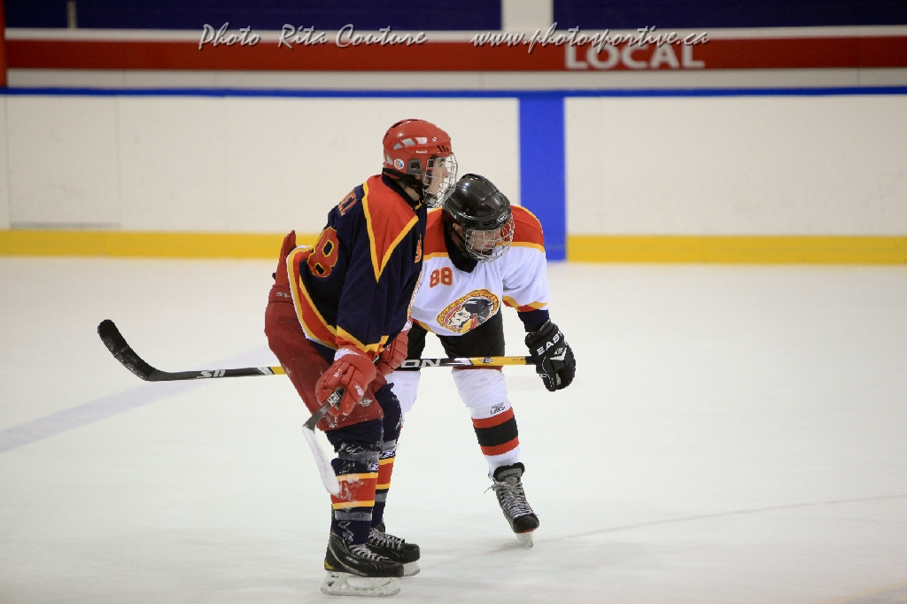 C5D_646896.jpg