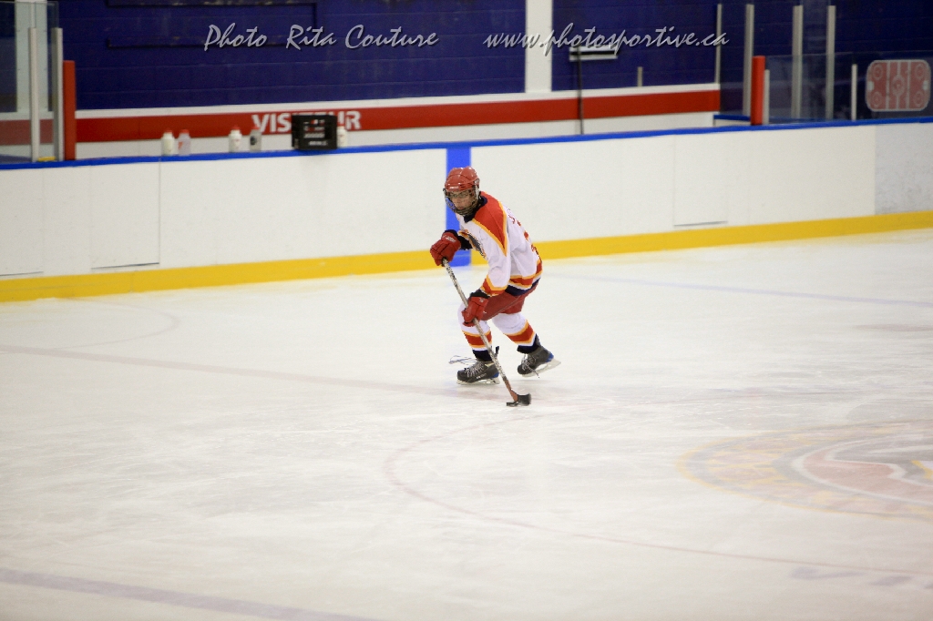 C5D_645375.jpg