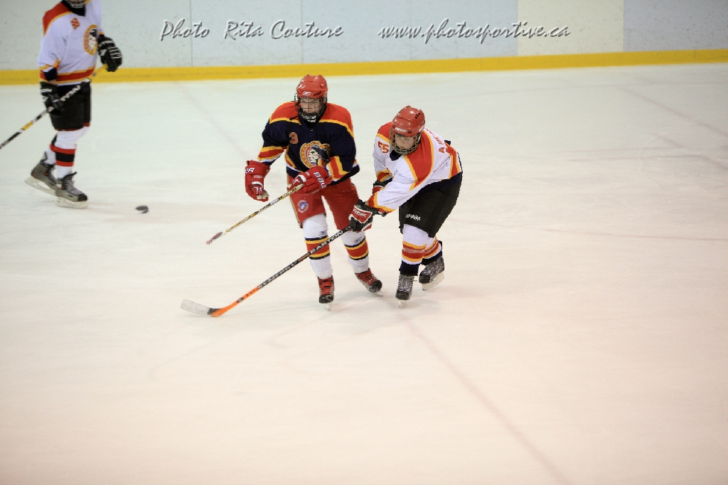C5D_645868.jpg