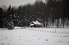C5D_061168