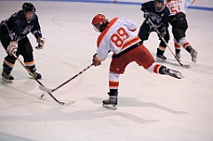 C5D_069087