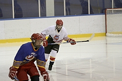 Midget1004