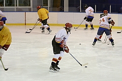 Midget1071