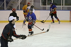 Midget1077