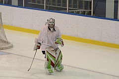 Midget1137