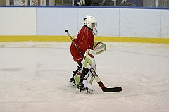 Midget1154