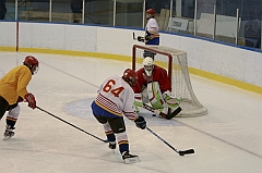 Midget1162