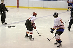 Midget1165