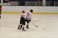 Midget1166