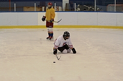 Midget1167