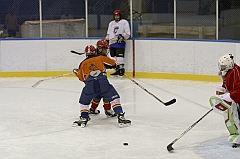 Midget1172