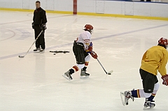Midget1177