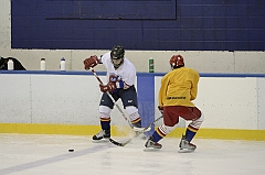 Midget1179