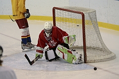 Midget1181