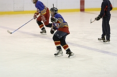 Midget1203