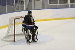 Midget1213