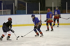Midget1219