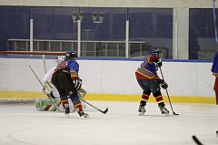 Midget1229