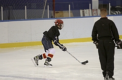 Midget1240