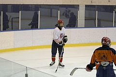 Midget1244