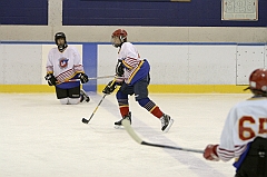 Midget1255