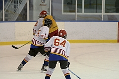 Midget1263