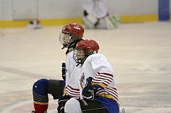 Midget1274