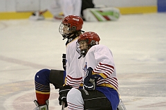 Midget1275
