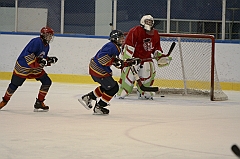 Midget1291