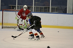 Midget1294
