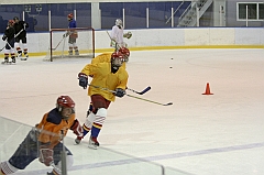 Midget1313