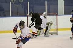 Midget1328