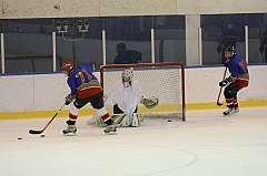 Midget1333