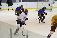 Midget1336