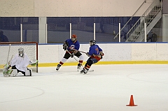 Midget1342