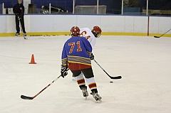 Midget1352