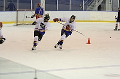 Midget1353