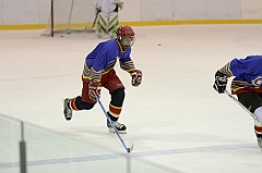 Midget1358