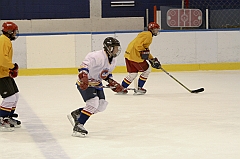 Midget1397