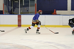 Midget1413