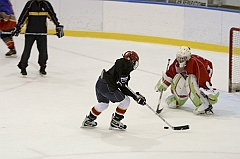 Midget1429