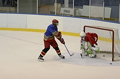 Midget1431