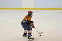 Midget1437