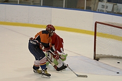 Midget1438