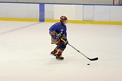 Midget1442
