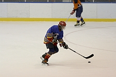 Midget1443