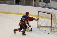 Midget1445