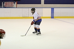 Midget1462