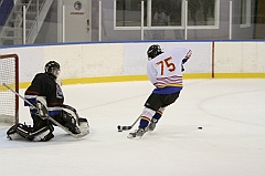 Midget1465